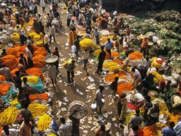 Kolkata Colorful Flower Market Scene 9